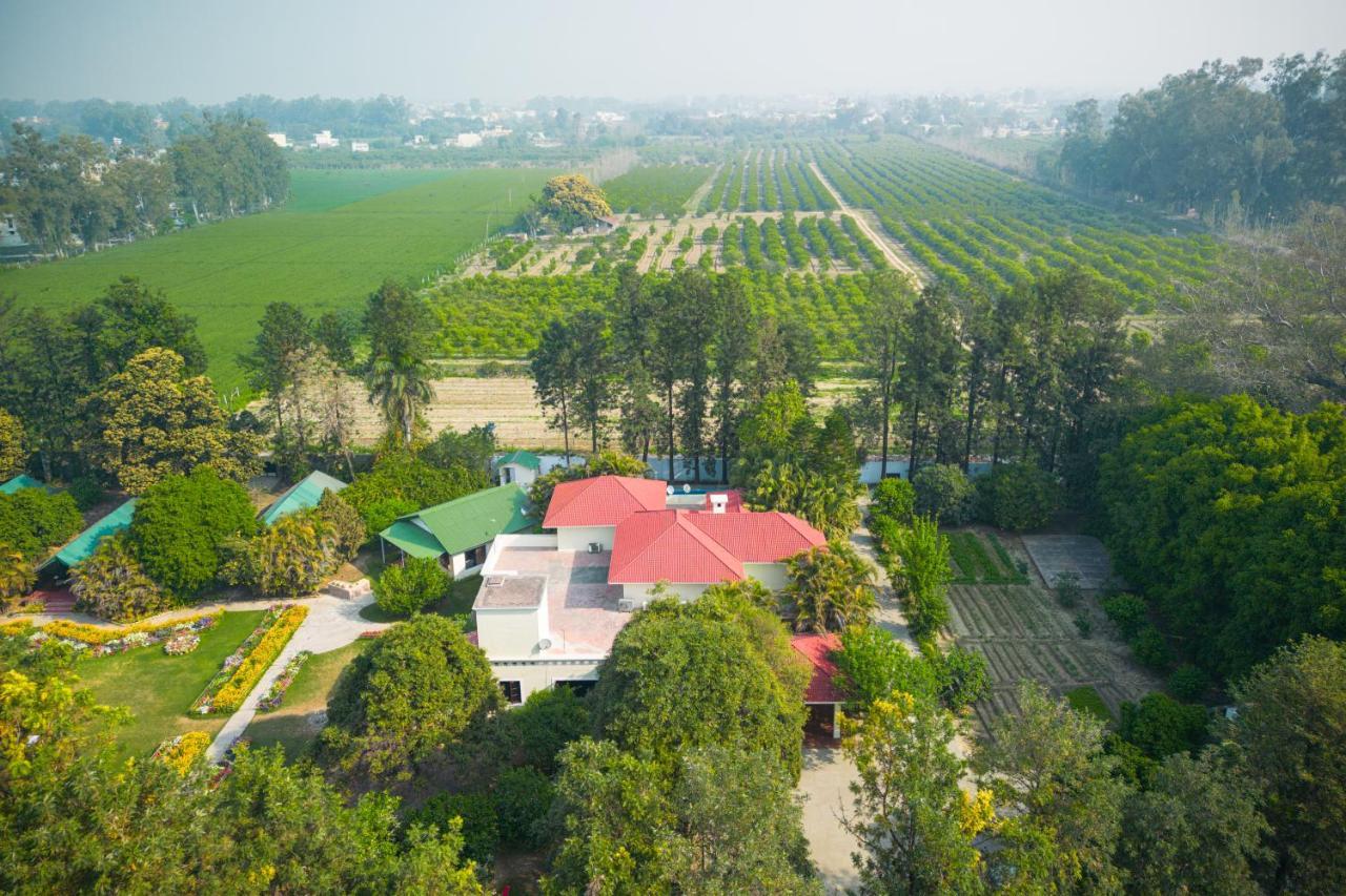Citrus County, Hoshiarpur, Ama Stays & Trails Exterior photo